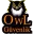 owlguvenlik.com.tr