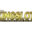 ekingslot.com