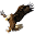 o