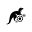 o