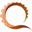 o