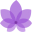 o