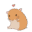 o