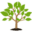 o