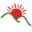 o