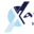 x