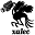 x