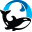 o