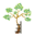 o