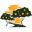 o