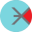x