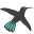 x