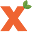 x
