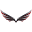 o