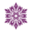 o