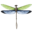 o