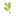 evergreenseeds.com