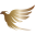o