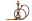 o