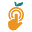 Orange County Digital favicon