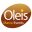 oleis-marocevents.com