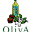 olivarestaurant.com