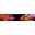 orchideenfreunde.net