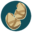 o