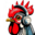 o