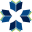 o
