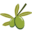 o