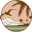 edem.uz