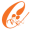xemngaycuoihoi.com