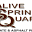 olivespringsquarry.net