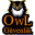 owlguvenlik.com.tr