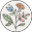 embodieddirections.com