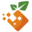orangbus.cn