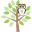 o