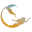 o
