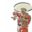 elmariachigrill.com