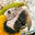 everythingbirdsonline.com