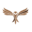 o