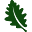 oakhillmotorsrv.com