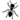 Ameisenhaufen