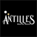 Antilles Digital Media