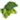 Webdesign Hallertau